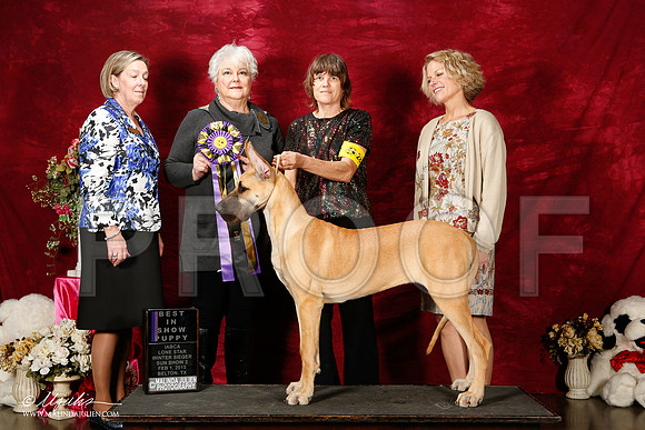 _ST_3024-2-BeltonJan2015IABCA-HR3