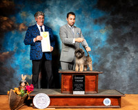 Affenpinscher #9 Sun G4 Judge FILIBERTO ARNIELLA