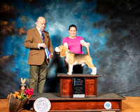 Beagle #7 Sun BOW Judge Dr Gareth Morgan Jones
