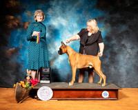Boxer #5 Sun BOB Judge Nancy Simmons
