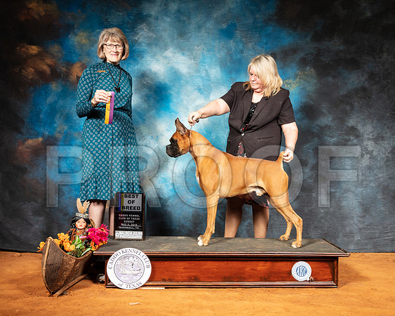 Boxer #5 Sun BOB Judge Nancy Simmons-SSR_7327-Mrshl2019-HR3