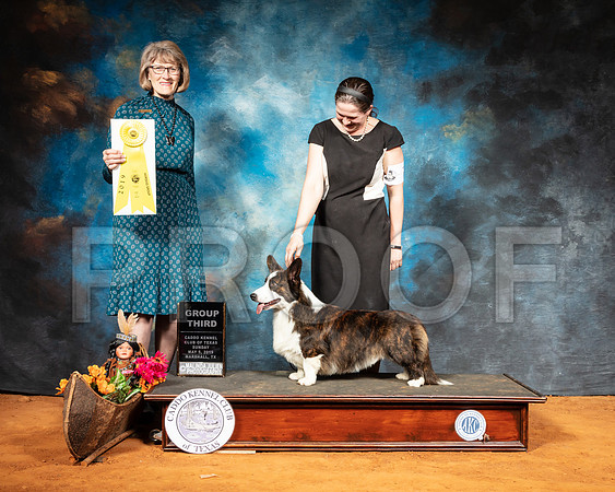 Cardigan Welsh Corgi #7 Sun G3 Judge Nancy Simmons-SSR_7323-Mrshl2019-HR3