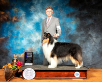 Collie Rough #7 Sun WD Judge FILIBERTO ARNIELLA