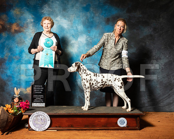 Dalmatian #12 Sun OHBIS Judge Laurie Telfair-SSR_7362-Mrshl2019-HR3