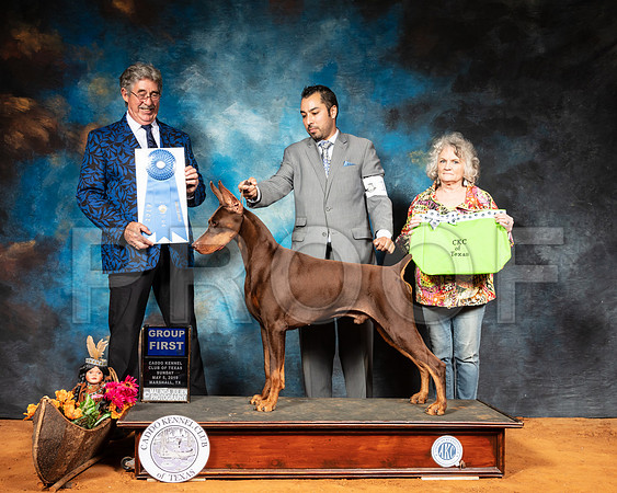 Doberman Pinscher #15 Sun G1 Judge FILIBERTO ARNIELLA-SSR_7207-Mrshl2019-HR3