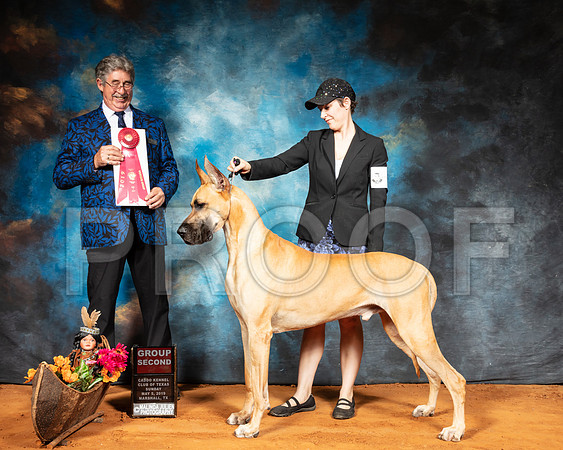 Great Dane #5 Sun G2 Judge FILIBERTO ARNIELLA-SSR_7227-Mrshl2019-HR3
