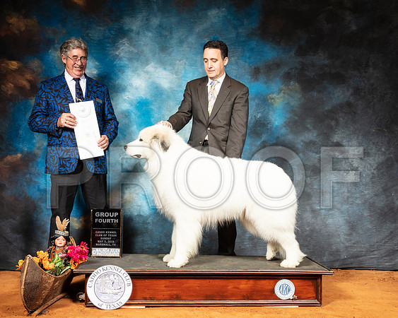 Great Pyrenees #5 Sun G4 Judge FILIBERTO ARNIELLA-SSR_7247-Mrshl2019-HR3