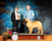 Leonberger #5 Sun PG2 Judge Laurie Telfair