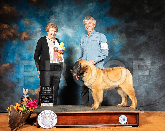 Leonberger #5 Sun PG2 Judge Laurie Telfair-SSR_7093-Mrshl2019-HR3