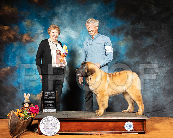Leonberger #5 Sun PG2 Judge Laurie Telfair-SSR_7096-Mrshl2019-HR3