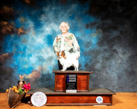 Papillon #16 Sun BOW Judge Richard Albee