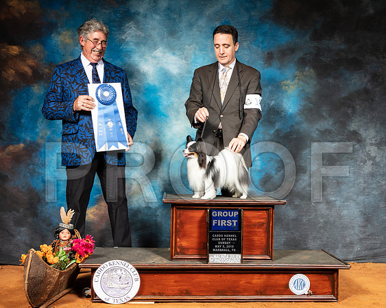 Papillon #18 Sun G1 Judge FILIBERTO ARNIELLA-SSR_7343-Mrshl2019-HR3