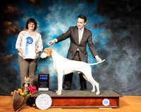 Pointer #7 Sun G1 Judge Danelle Brown