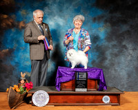 Pomeranian #19 Sun BOW Judge Richard Albee