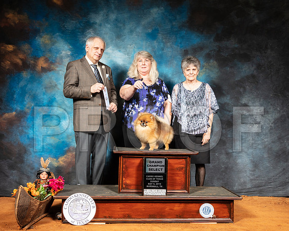 Pomeranian #9 Sun BOW Judge Richard Albee-SSR_7249-Mrshl2019-HR3