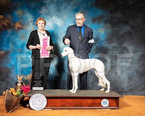Saluki #6 Sun OHG1 Judge Laurie Telfair-SSR_7288-Mrshl2019-HR3