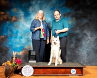 Siberian Husky #21 Sun RNB Judge Linda Lantz