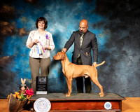 Viszla #5 Sun BOS Judge Danelle Brown