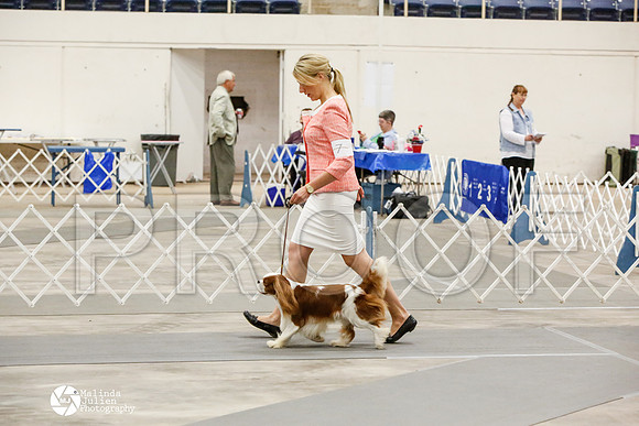 _CK_7928-AblnMay2014-web