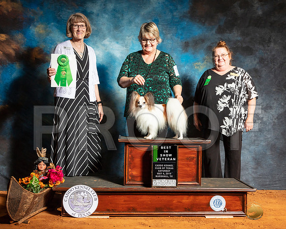 Papillon Sat Best Vet Judge Nancy Simmons-SSR_7013e-Mrshl2019-HR3