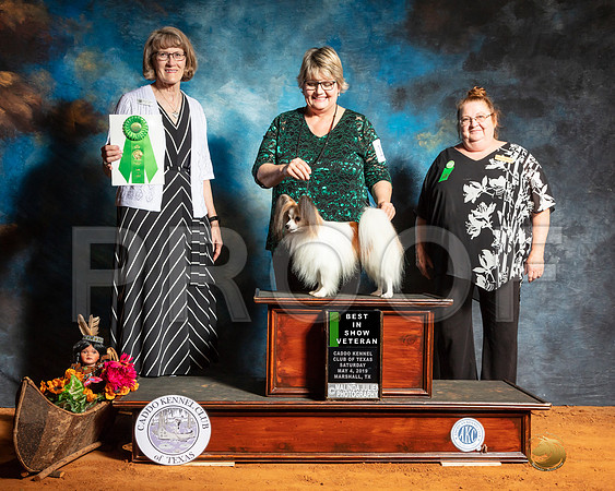 Papillon Sat Best Vet Judge Nancy Simmons-SSR_7015e-Mrshl2019-HR3