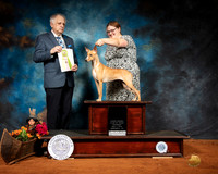 Peruvian Inca Orchid #396 Sat Best in Open Show Judge Richard Albee
