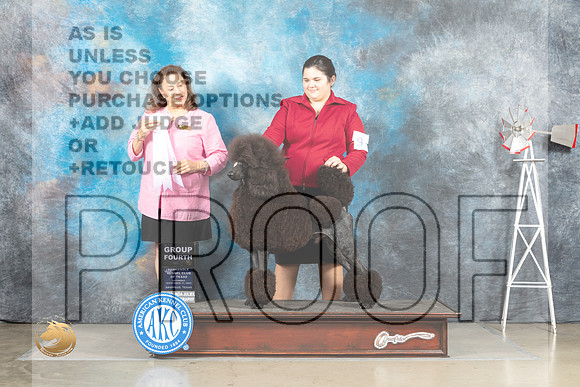 Poodle Std #9 Sat G4 Judge Joan Liebes_MJ_4568_Amarillo_2022_HR3