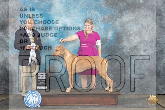 Rhodesian Ridgeback #11 Sat BOWBOB Judge David Bolus__JP_3703_Lubbock_2024_HR3