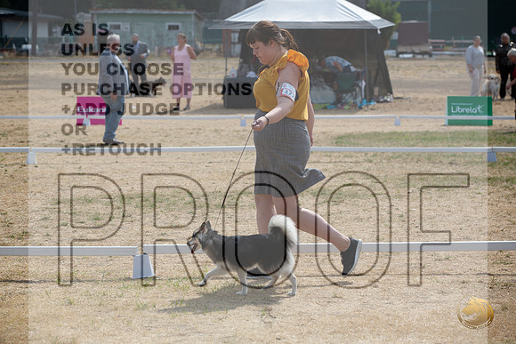 Ringside Longview WA 2024 Alaska Klee Kai #177_JJL_3541_Longview WA_2024_HR3