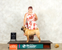 Chinese Shar Pei #634 Thur BOB Judge Pam Perdue