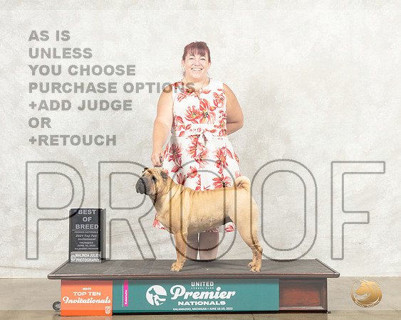 Chinese Shar Pei #634 Thur BOB Judge Pam Perdue__MJ_7333_Premier_2022_HR3