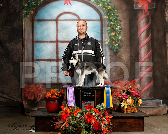 _ST_7108-2-NrmnNov2014-HR3