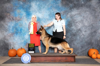 German Shepherd Dog #7 Sun G3 Judge Jan Paulk
