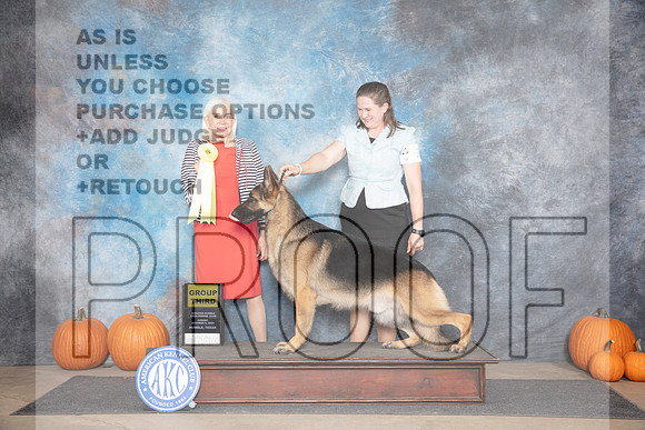 German Shepherd Dog #7 Sun G3 Judge Jan Paulk__JP_9562_Humble_2024_HR3