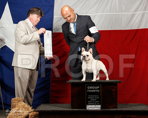 _ST_1578-2-AmarilloSep2014-HR3