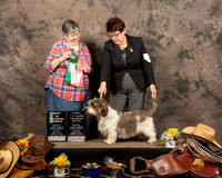 #40 Sat BVetSweeps Karen S Prott Clugston Nat Judge Jo Quintenz