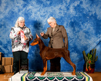 Doberman Pinscher #119 Sun 4-6 G1 +A3