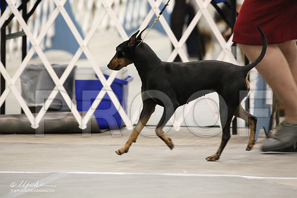 IMG_7975-Abilene2011-HR3