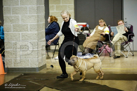 _JJ_5790-BeltonJan2015IABCA-HR3