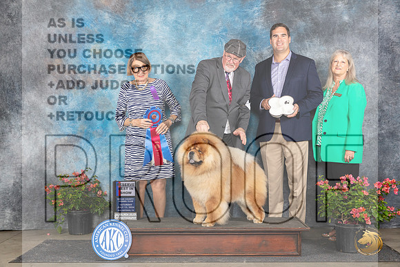 Chow Chow #5 Sat RBIS Judge Elizabeth ‘Beth’ Sweigart__JP_5592_San Antonio_2024_HR3