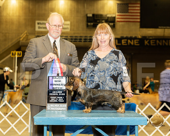 Dachshund Wire #6 Fri1 WB Maj Judge Fred Hyer__ST_5179_Ablne2019-HR