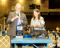 Dachsund Wire #7 Fri1 BOW Maj Judge Fred Hyer