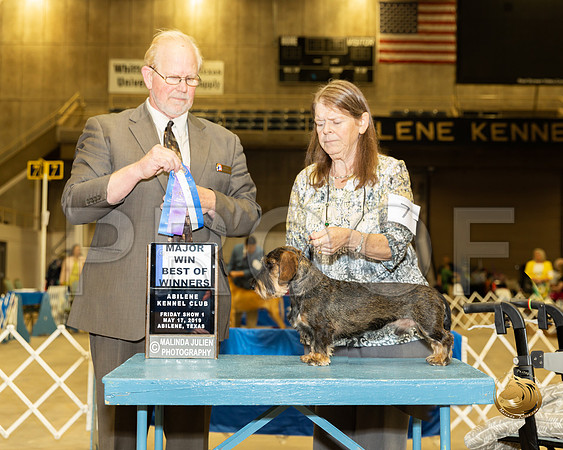 Dachsund Wire #7 Fri1 BOW Maj Judge Fred Hyer__ST_5173e_Ablne2019-HR