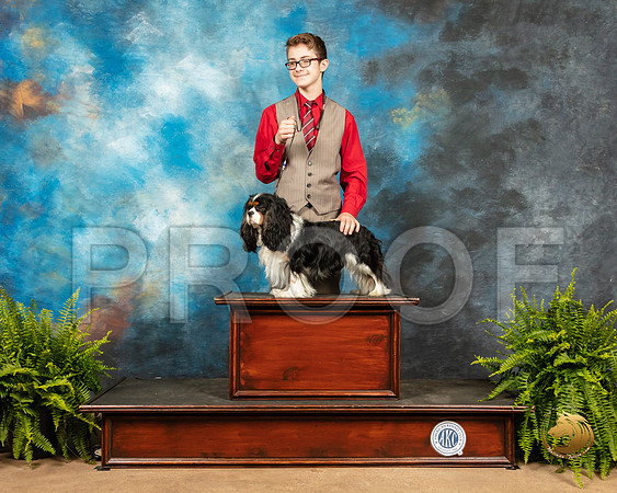 Cavalier King Charles Spaniel Jennifer Jones_SSR_7641_Ablne2019-HR