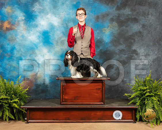 Cavalier King Charles Spaniel Jennifer Jones_SSR_7644_Ablne2019-HR
