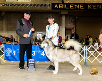 Alaskan Malamute #5 Fri1 BOW Judge Lee Herr