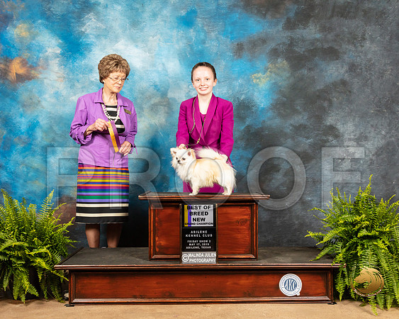 Chihuahua Long Coat #21 Fri1 Judge Patricia Trotter_SSR_7654e_Ablne2019-HR