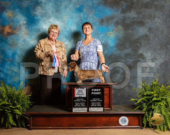 Dachsund Wire #10 Fri2 BOB Maj Judge Judy Brown_SSR_7674_Ablne2019-HR