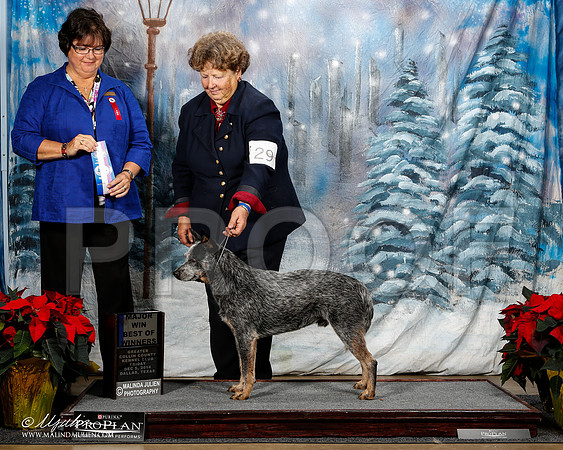 _ST_8093-2-DallasDec2014-HR3
