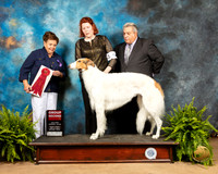 Borzoi #6 Fri1 G2 Judge Catherine Bell